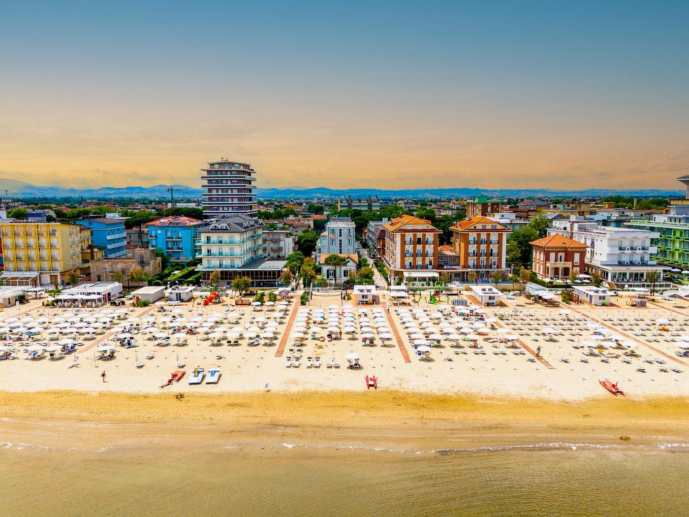 Image Column Section Image 2