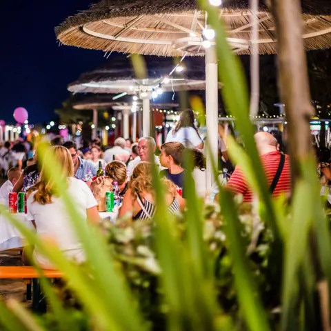 Pink Night Offer in Bellaria